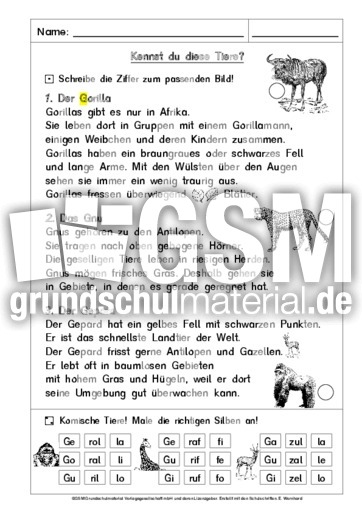 23-In Silben lesen-G-AB 1.pdf